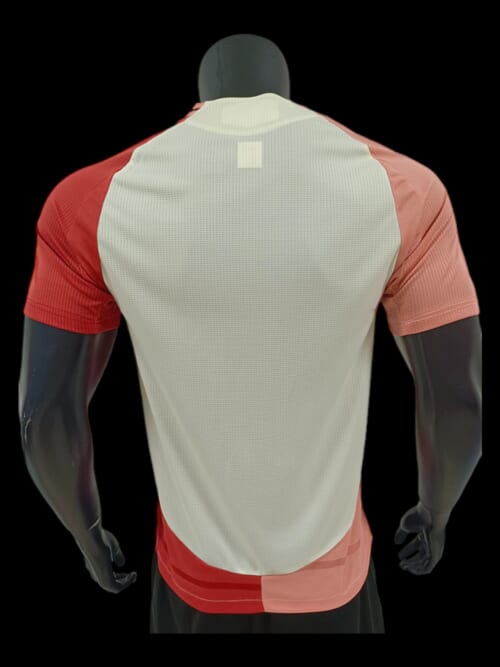 Lyon Maillot Third 24/25 – Version Player