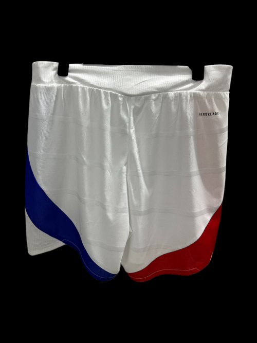 Lyon Short Domicile 24/25